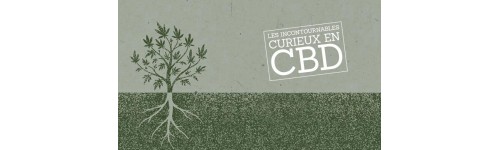 Curieux - CBD